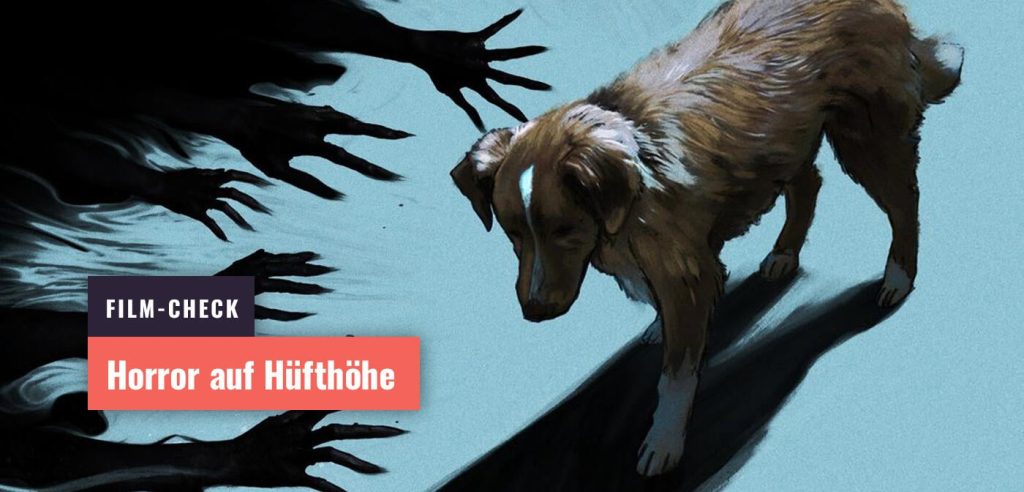 Genialer Horrorfilm wird aus Sicht eines Hundes (!) erzählt: Good Boy zwingt euch in die Knie