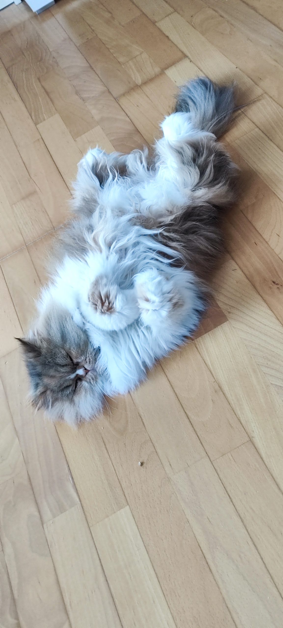 953e6b70-e26e-410c-9714-d06dfcbdd817-1_all_175